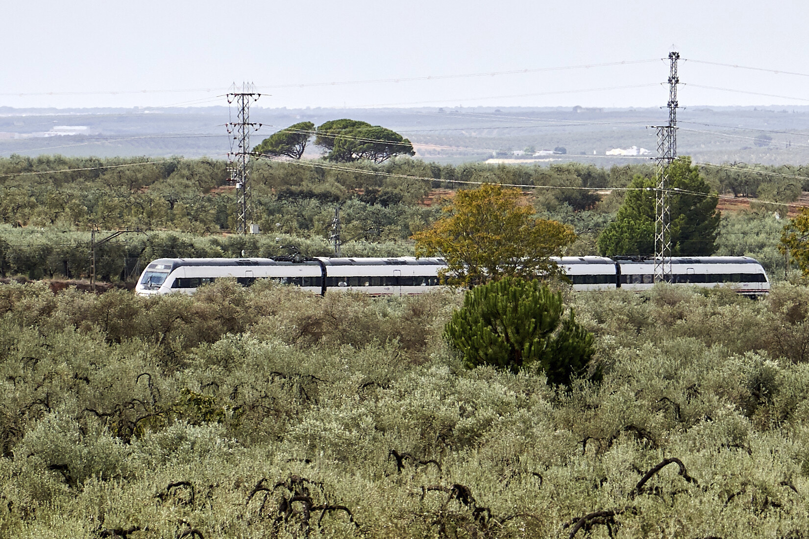 Un tren de la lnea frrea entre Sevilla y Huelva, a la altura de la localidad sevillana de Benacazn.