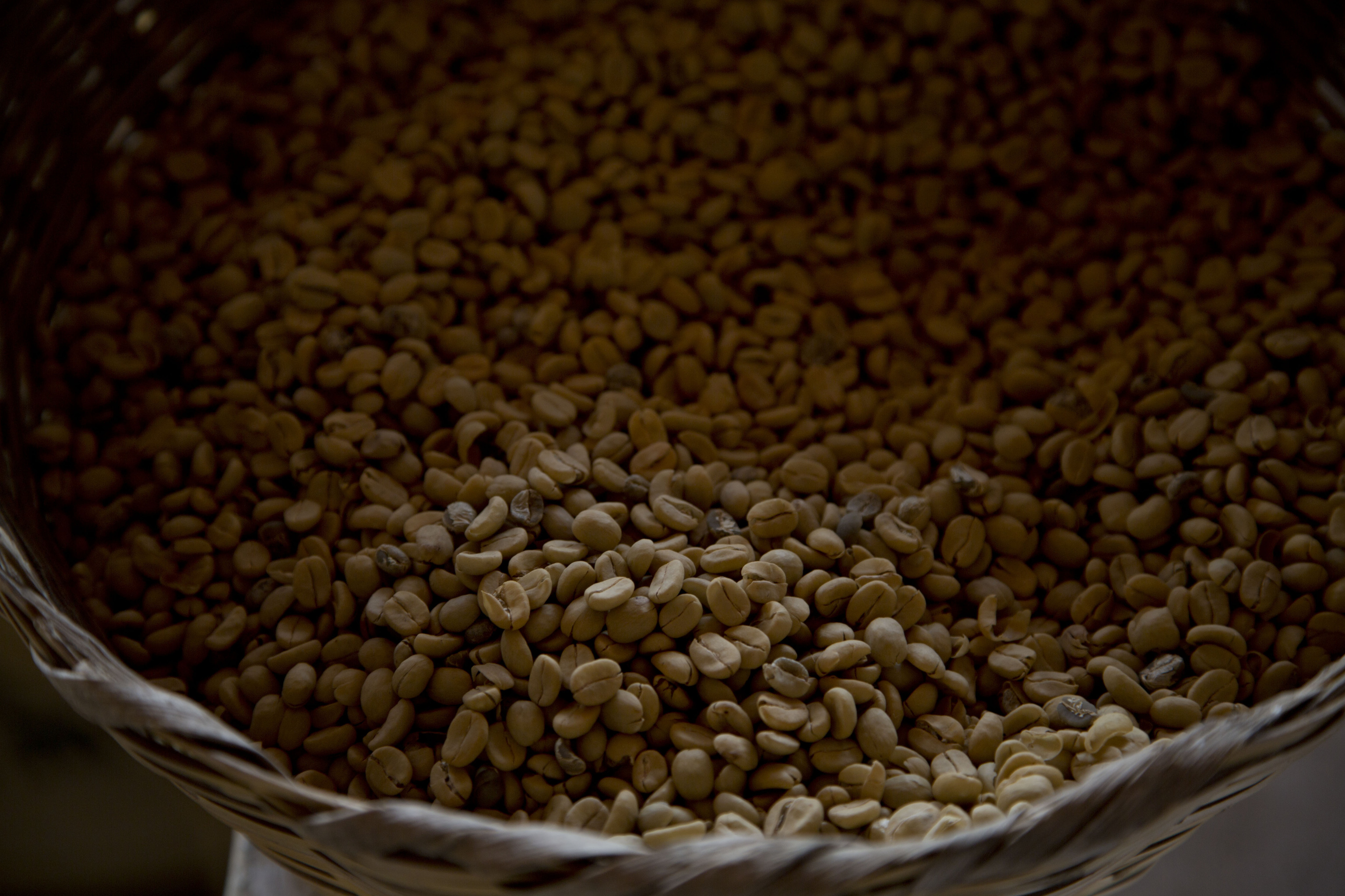 Granos de café Arábica almacenados