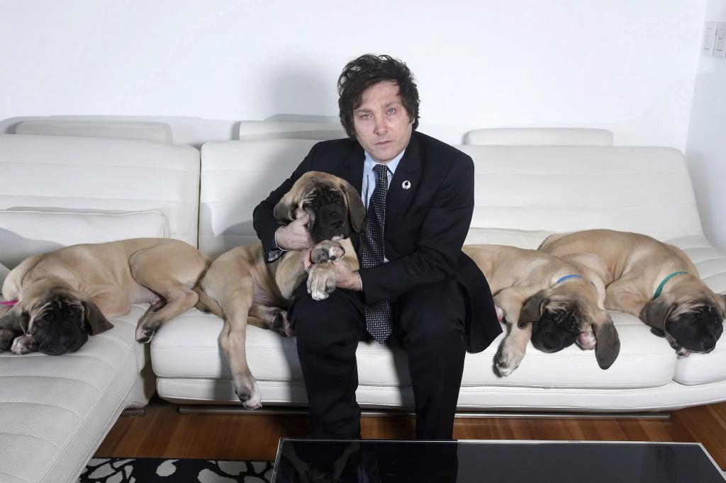 ¿Son cuatro o cinco los perros de Milei? Un asombroso debate se dispara en Argentina