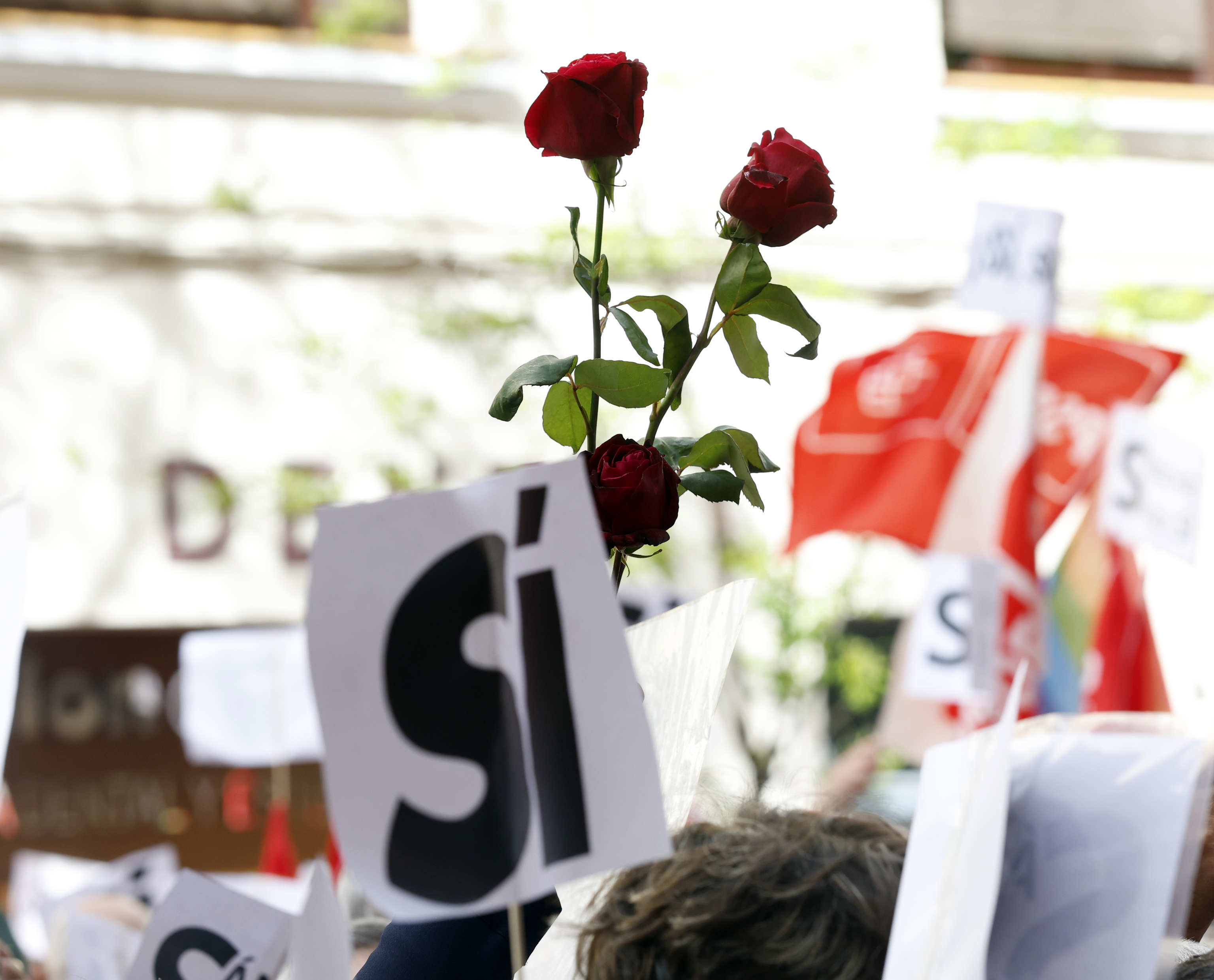 Rosas en la sede del PSOE en la madrilea calle de Ferraz.
