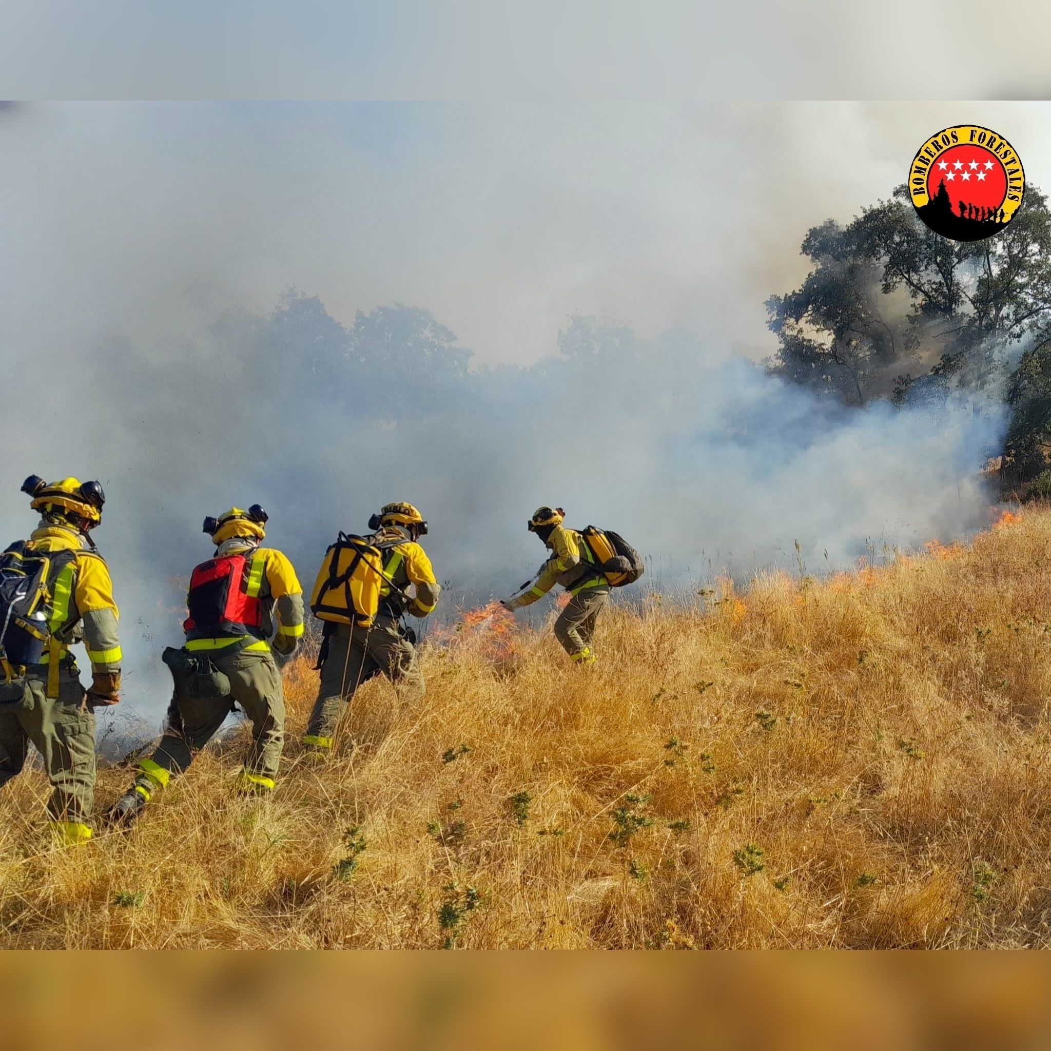 La eterna reivindicación de los bomberos forestales de Madrid, que ...