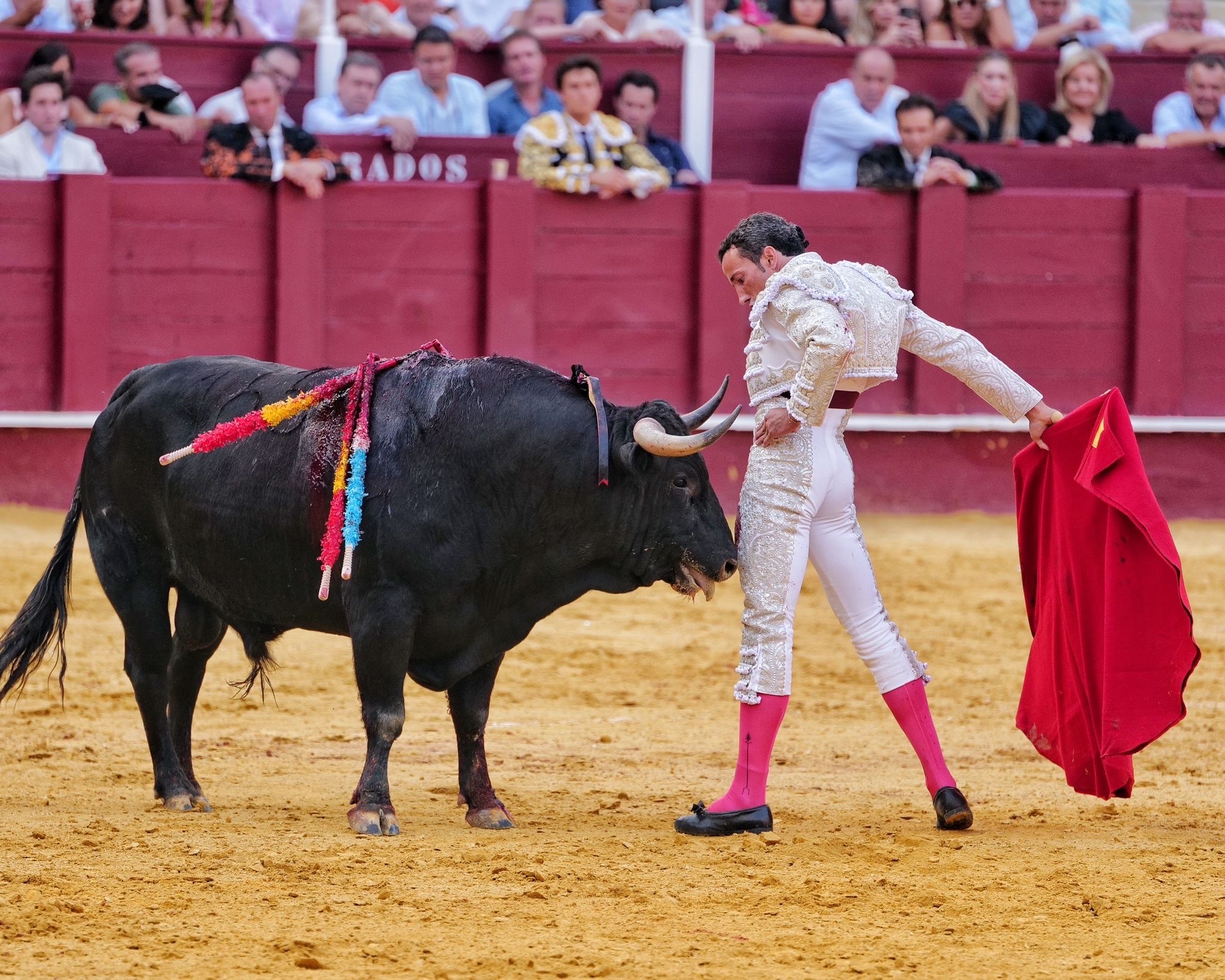 David de Miranda es el "número 1" en rendimiento de un escalafón que lidera Talavante y en el que mandan Morante y Roca Rey