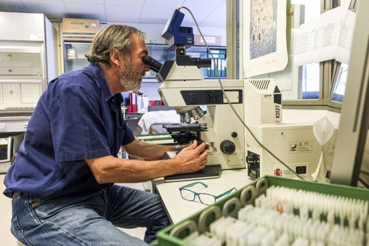 Investigación del neurocientífico Salvador Martínez