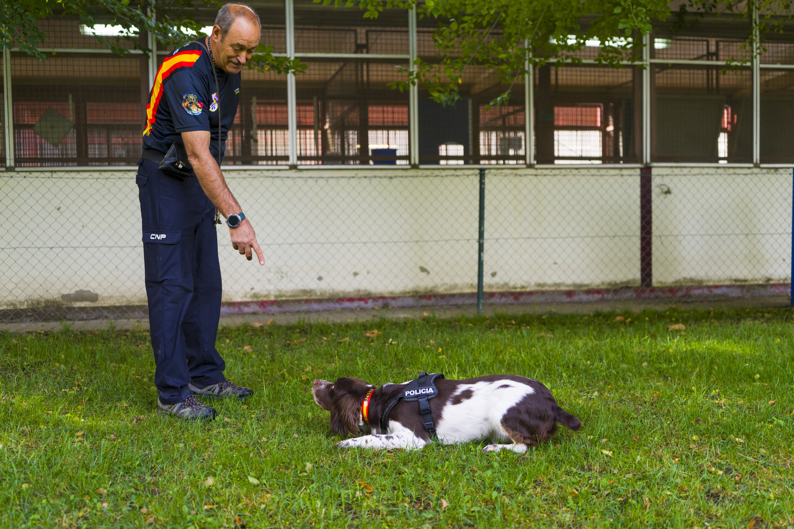 Antonio Serrano, Koke köpeği ile
