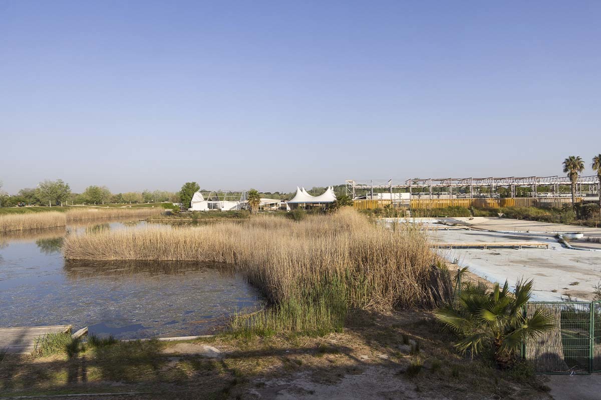 La playa de Zaragoza: de paraíso del Ebro a ruina sin beneficio como ejemplo fantasmal de la zona Expo
