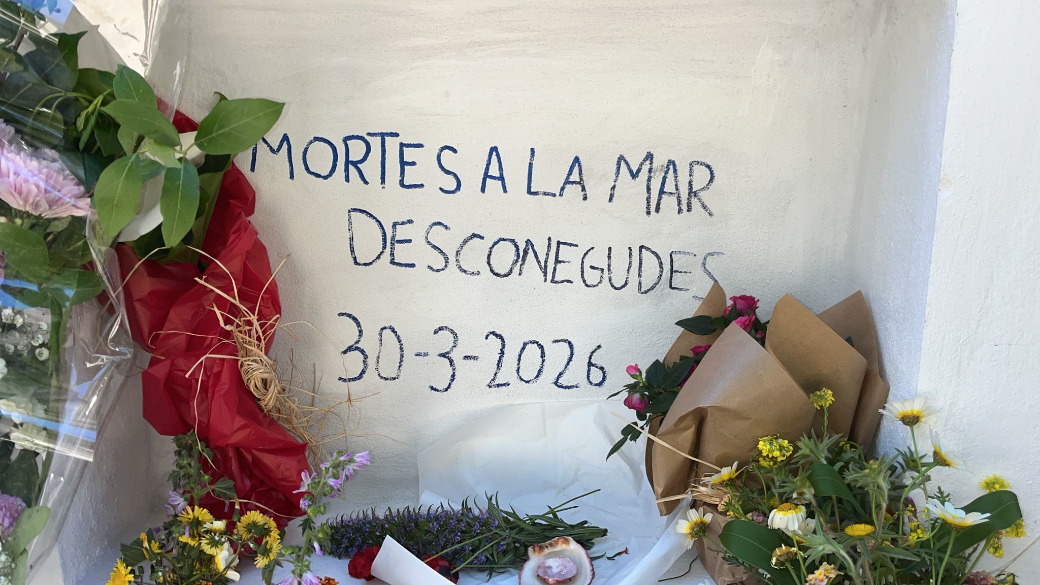 Los nichos sin nombre de las pateras: una joven embarazada de unos 30 años, el símbolo del drama en Baleares