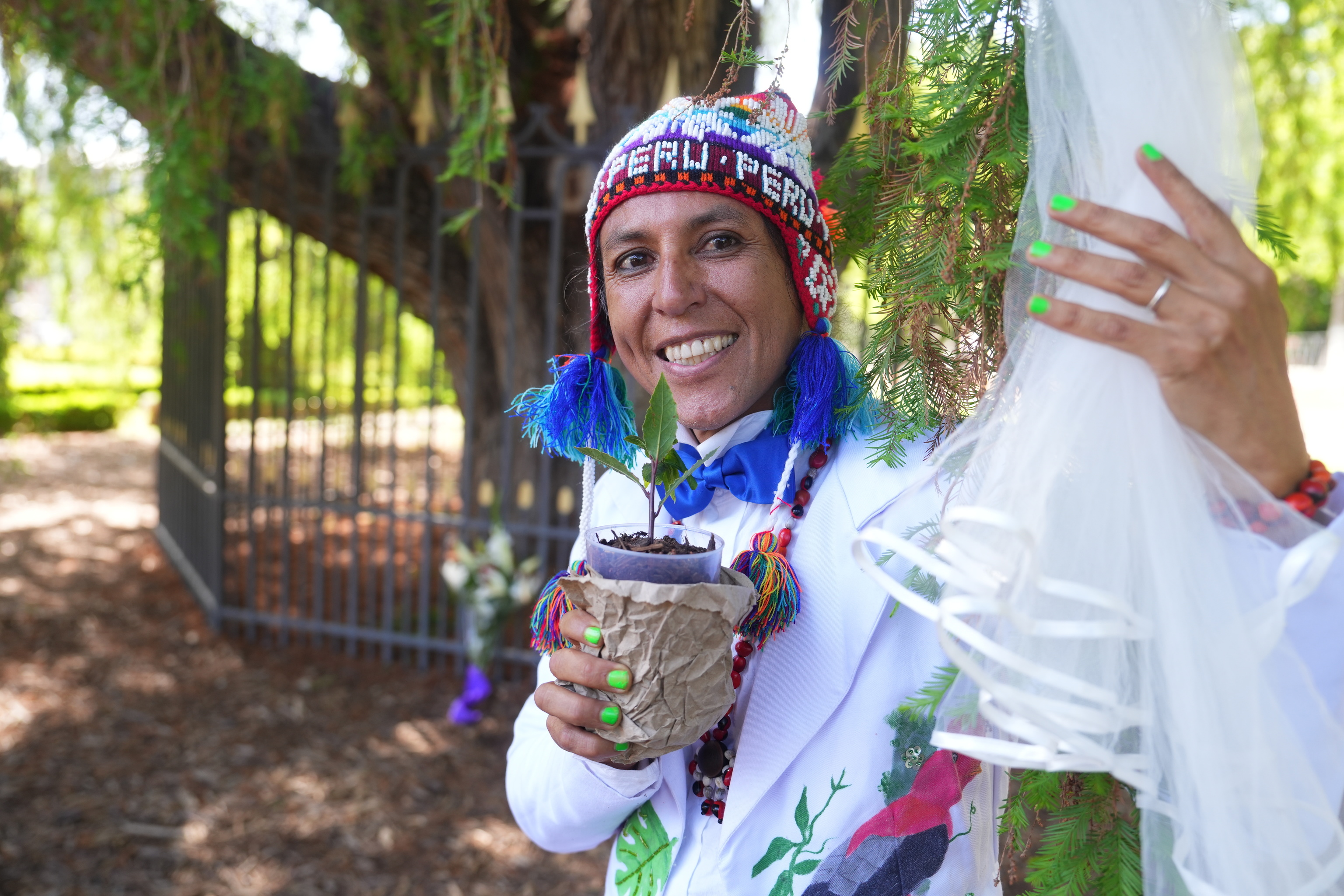 El peruano que se casa con los árboles: segunda boda con el ahuehuete del Retiro