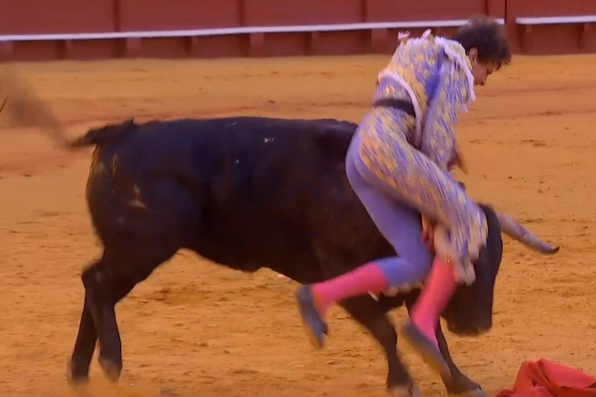 Roca Rey, corneado al entrar a matar, corta dos orejas en Sevilla