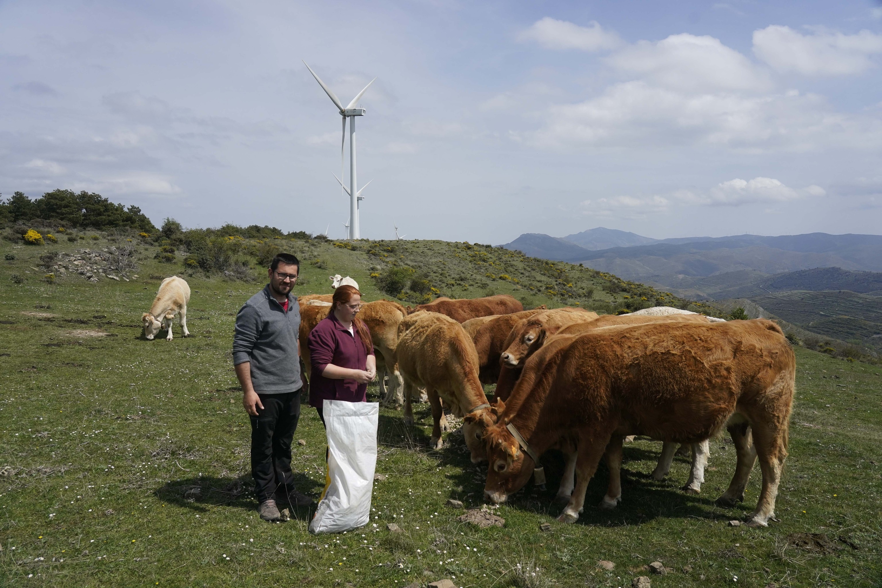 La lucha de dos jóvenes ganaderos contra los lobos y la Administración: 