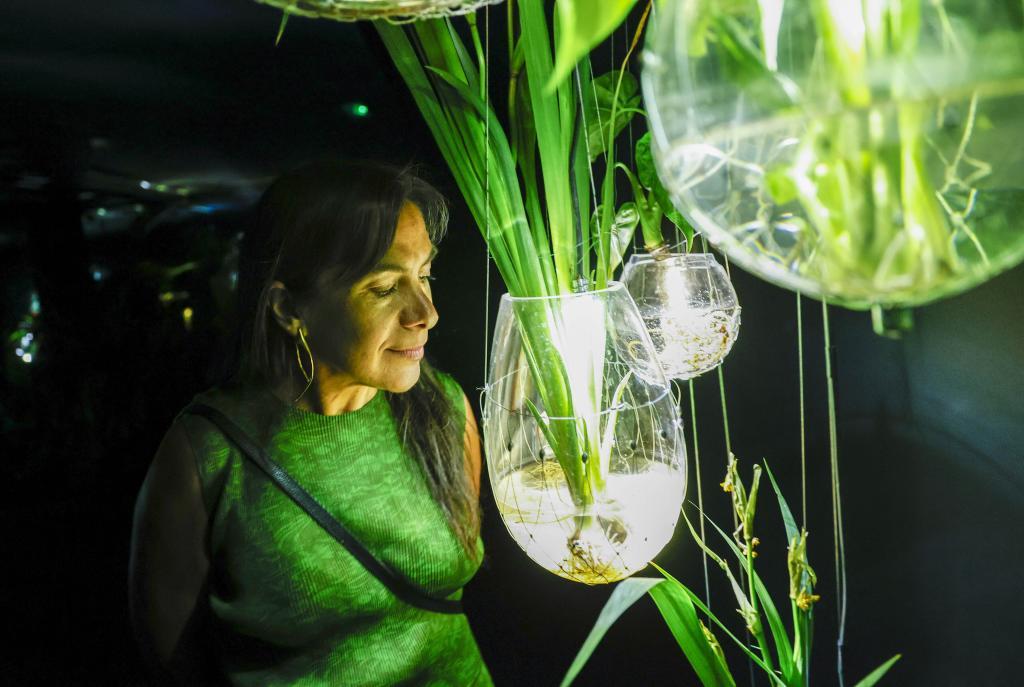 El IVAM baja hasta el subsuelo: "Hay un universo allá abajo desde antes de los humanos y que seguirá cuando nos extingamos"
