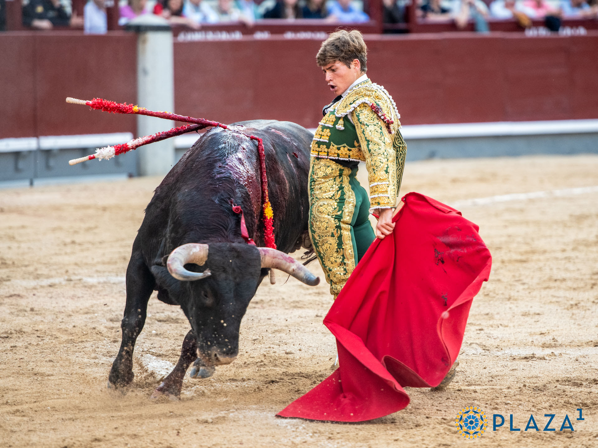 Álvaro Serrano reaparece en Calasparra de su lesión de columna, a un mes de la encerrona en la feria de Otoño