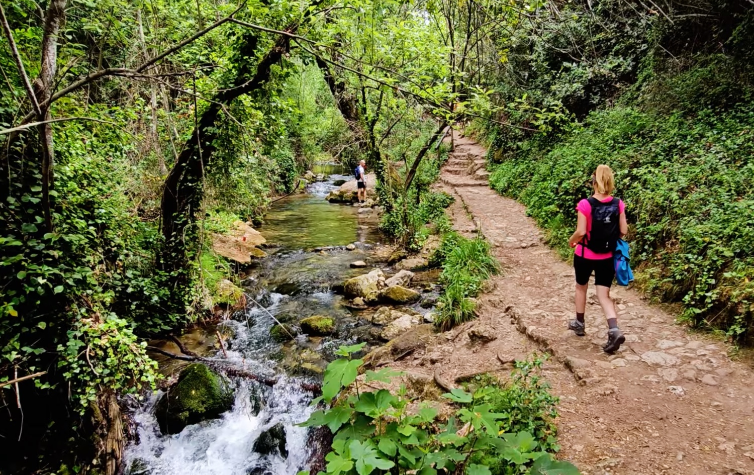 La ruta de senderismo de la Sierra de Grazalema que es una aventura constante: puentes de madera, saltos de agua, nutrias y vistas de vértigo