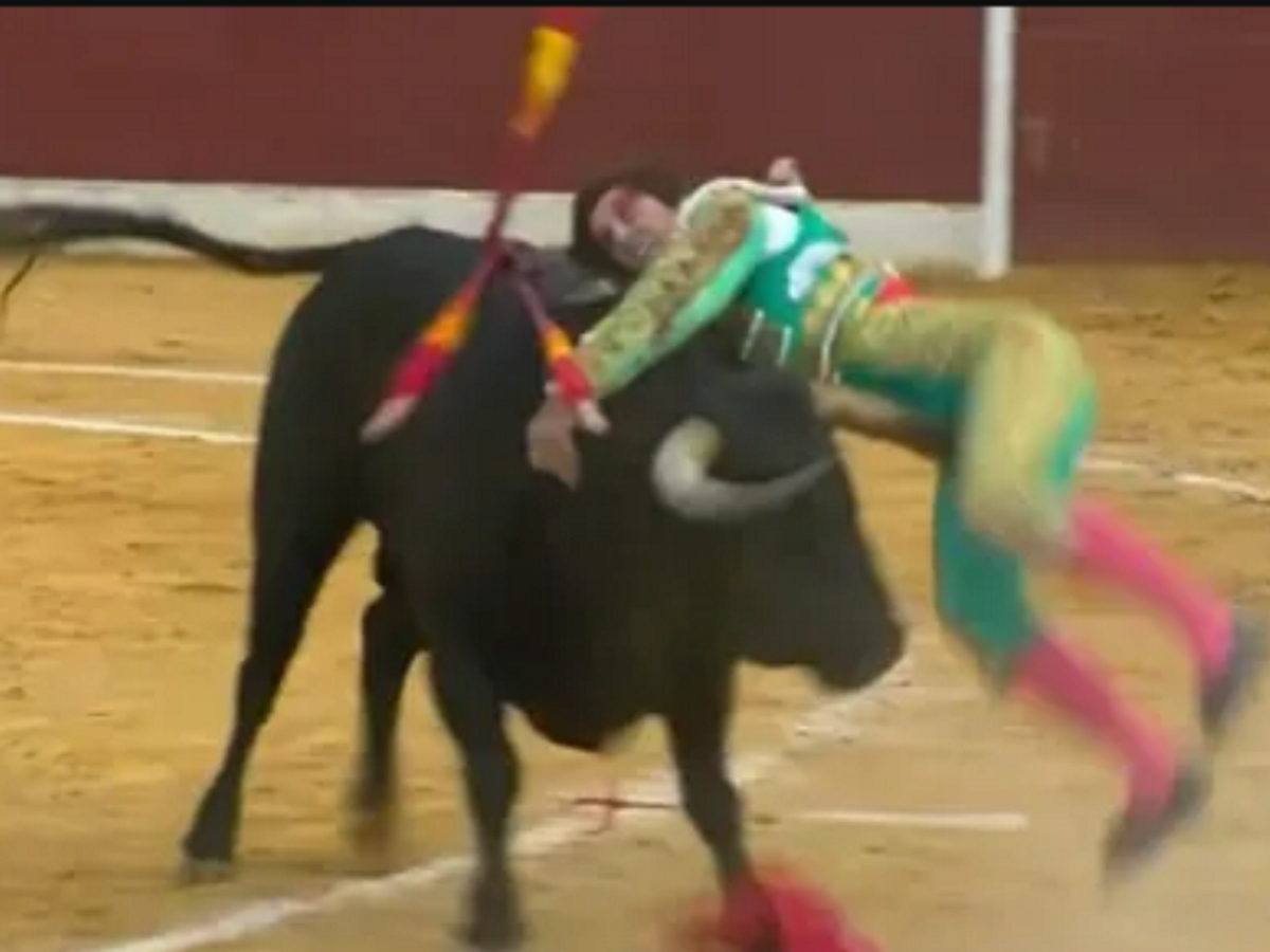 Alberto Durán sufre una cornada en el escroto durante la Copa Chenel