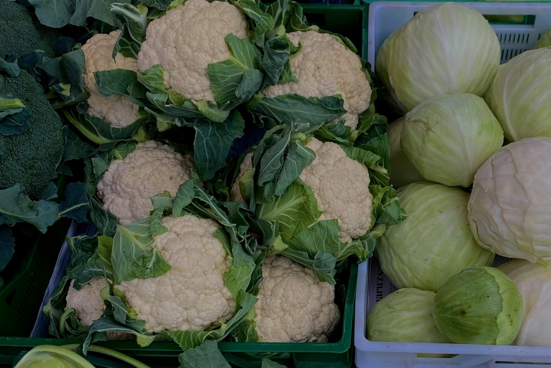 Adiós a tomar sólo lácteos: estos son los alimentos olvidados que fortalecen tus huesos a partir de los 50