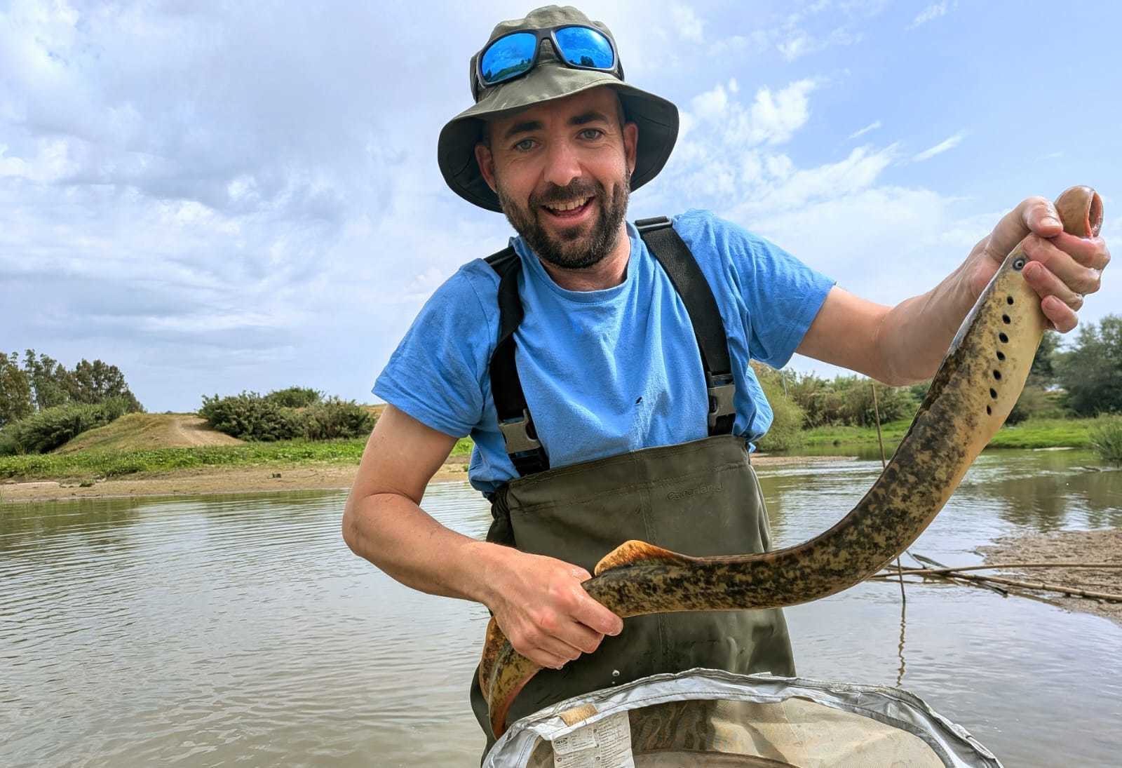Un equipo de la Estación Biológica de Doñana captura una lamprea marina, en peligro crítico de extinción, en la Rivera de Huelva