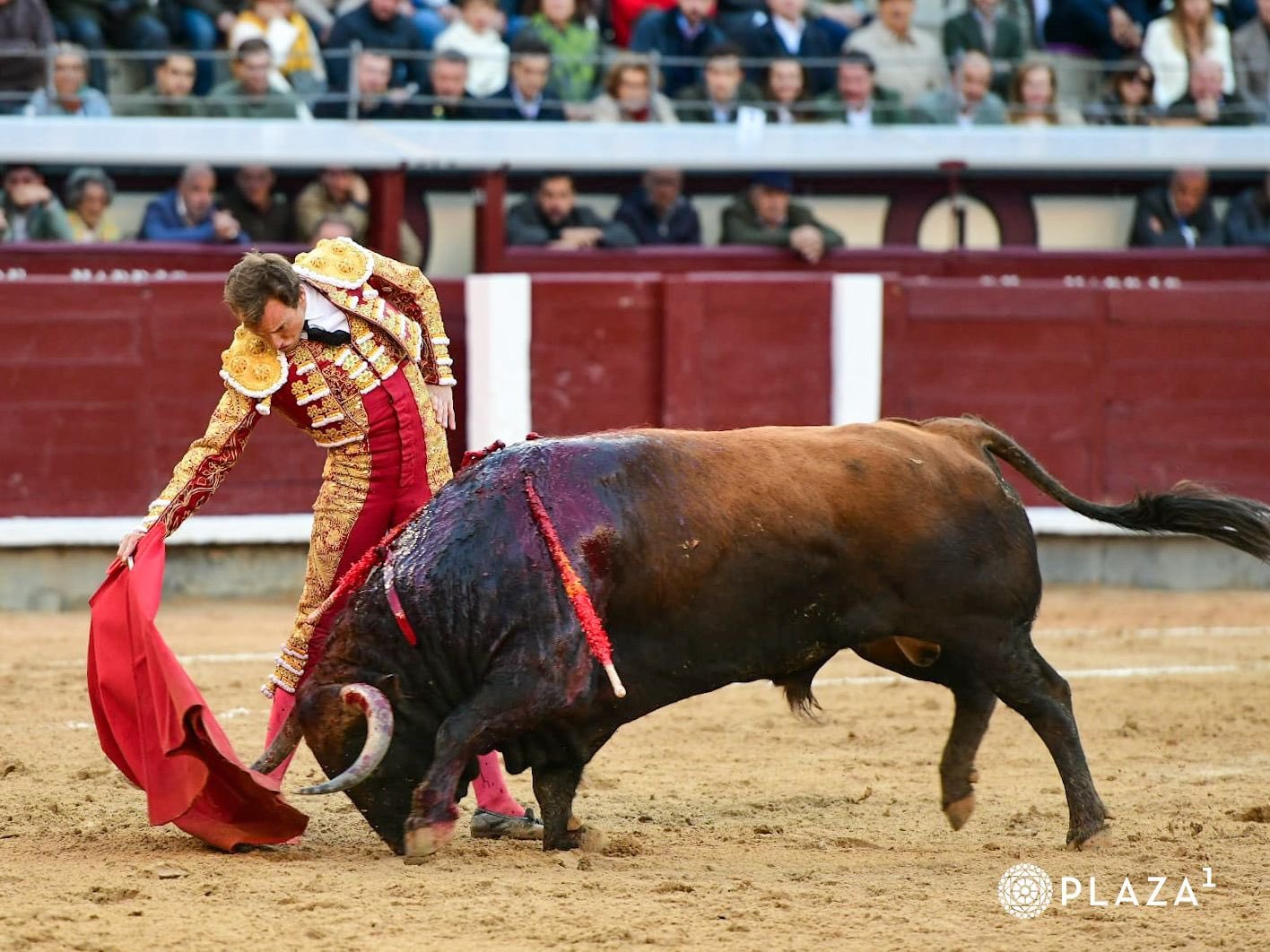 Un gran toro para un buen Román, culmen de una boyante corrida de Mayalde en Las Ventas