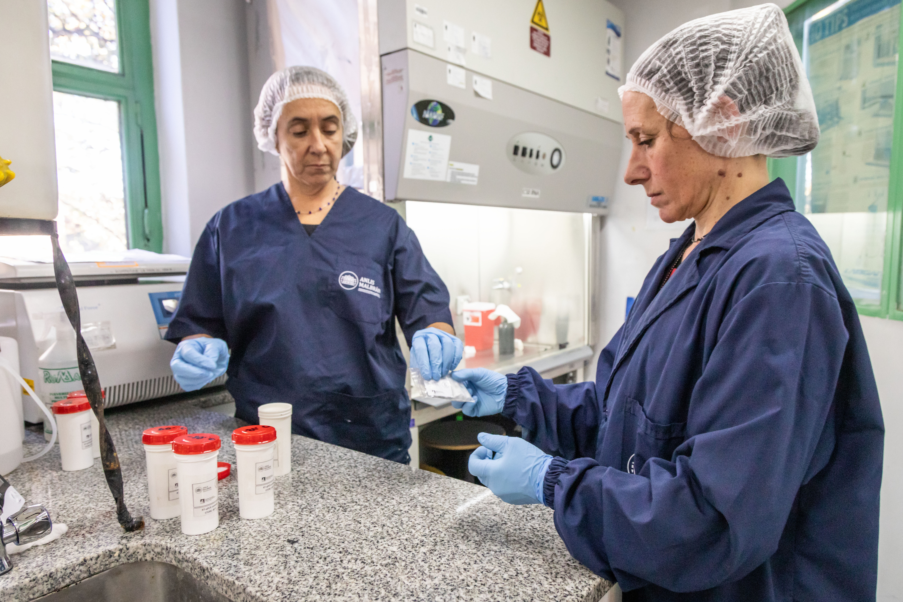 Antivirales y vacunas: estos son los proyectos en desarrollo para combatir el hantavirus