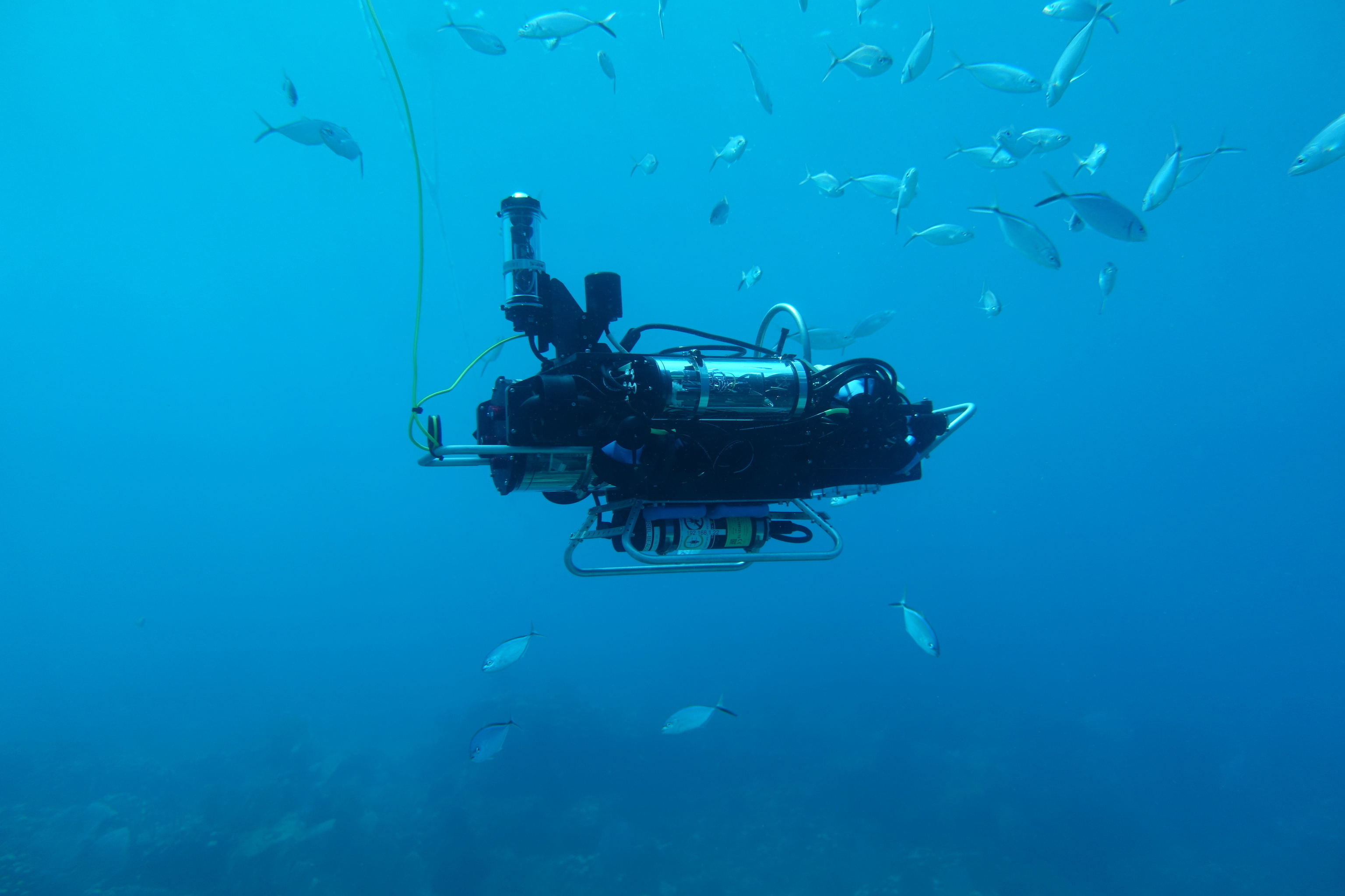 Estados Unidos crea un robot submarino que encuentra vida siguiendo sonidos en los arrecifes
