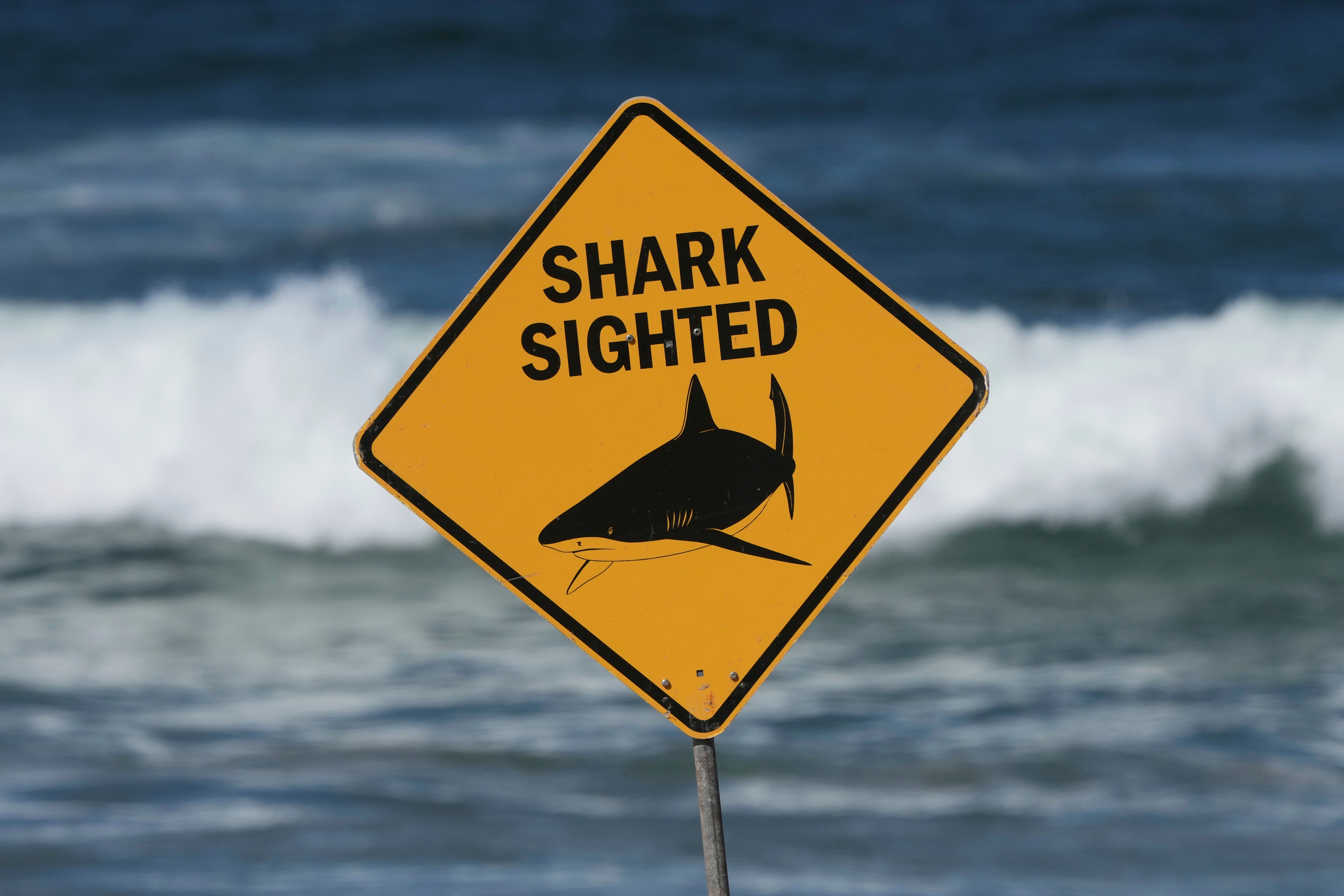 Muere un hombre tras ser atacado por un tiburón en Australia