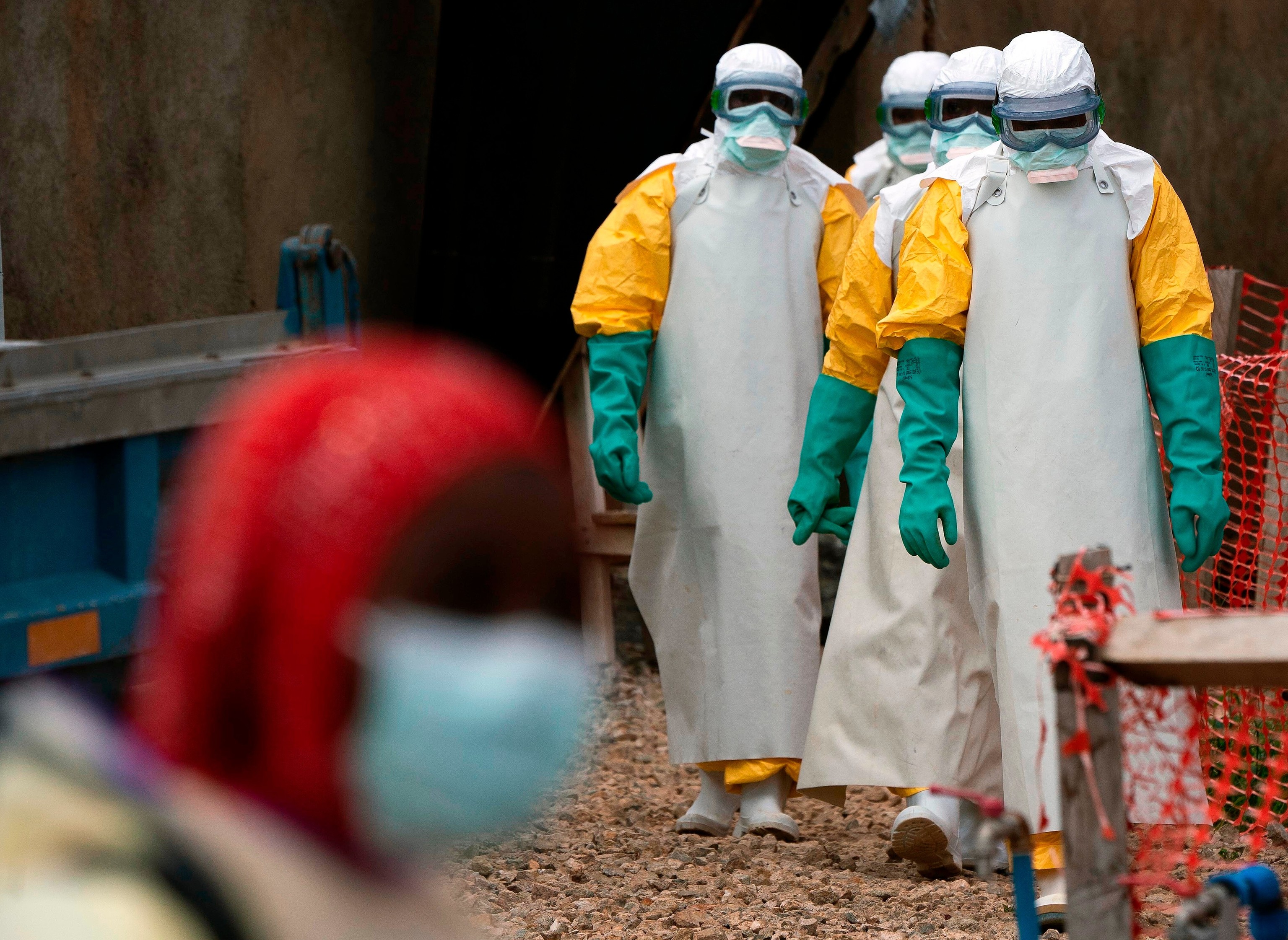 Así es el virus Bundibugyo, la rara especie de ébola que ya ha matado a más de 130 personas  en el Congo