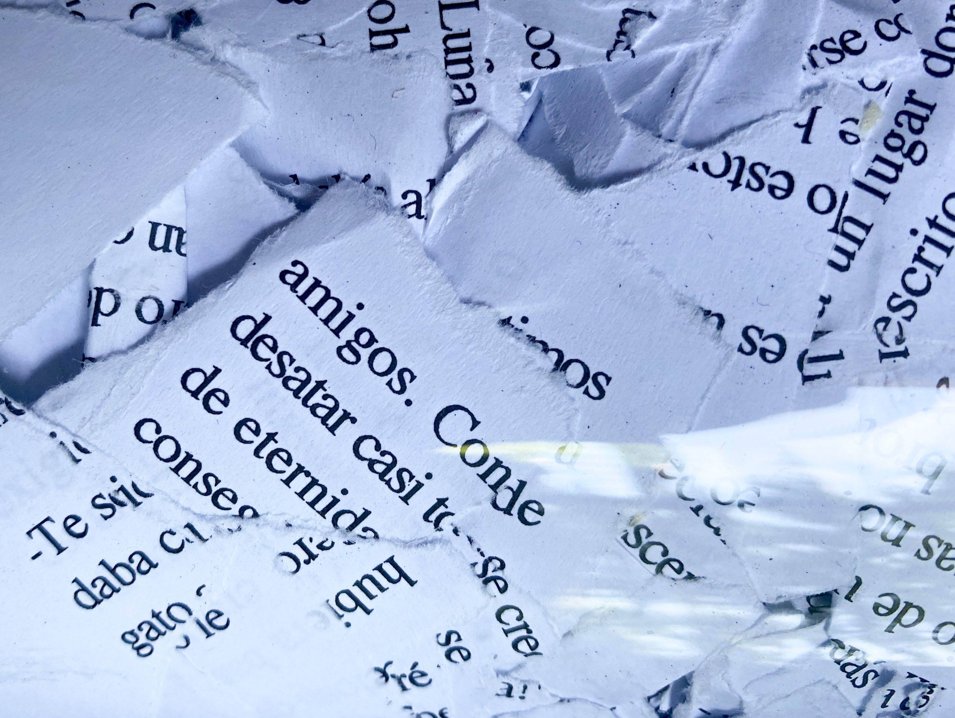Recetas contra el sufrimiento: cómo hacer picadillo mi única novela me ha procurado una tremenda paz mental