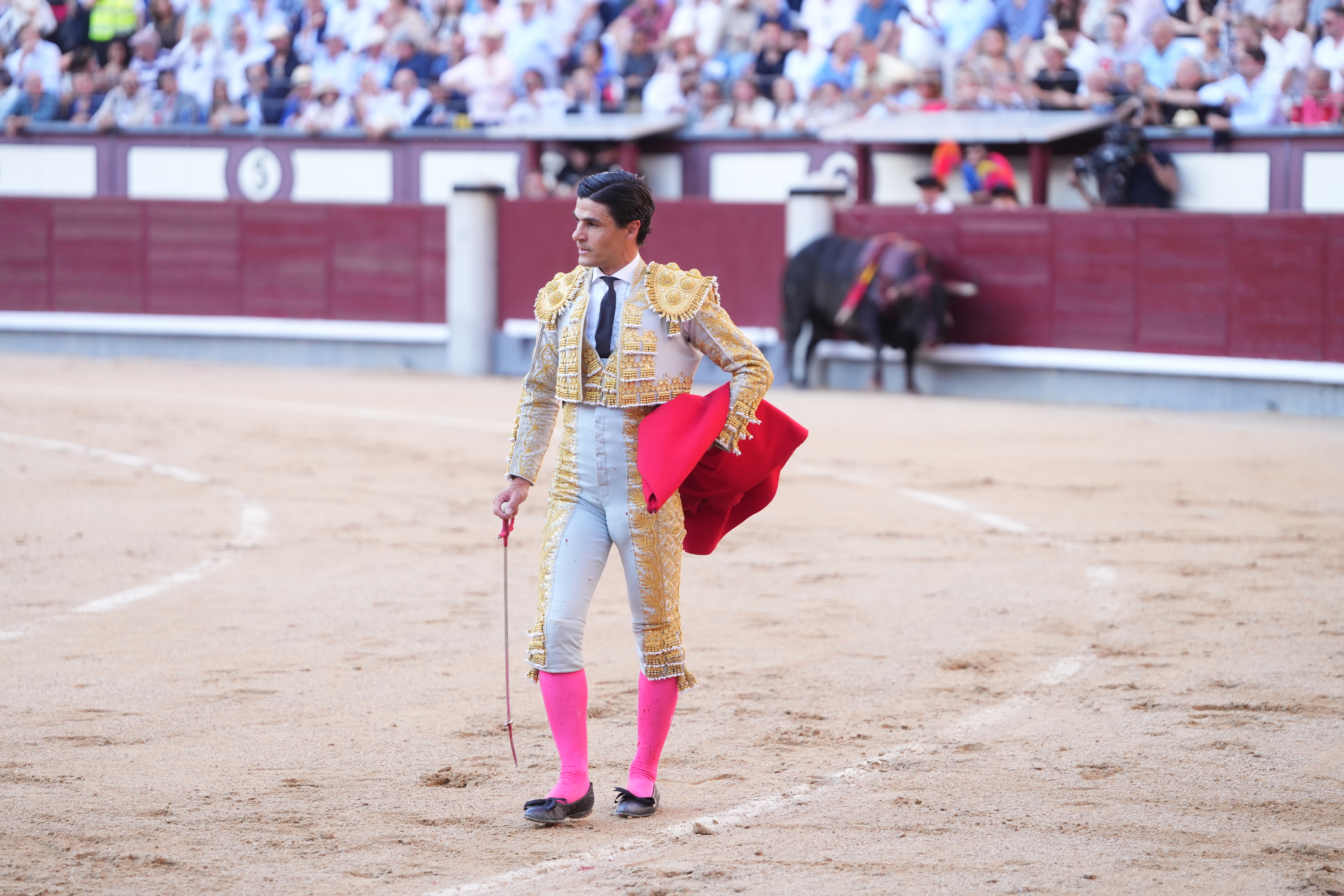 La insufrible condena de una corrida sentenciada y la ruina de Pablo Aguado en Las Ventas Petardo de la ganadería de El Puerto, castigada por las consignas, la precipitación de las devoluciones y también por los artistas: Aguado se deja un toro vivo pero, sobre todo, se deja ir un lote que le va a pesar Leer