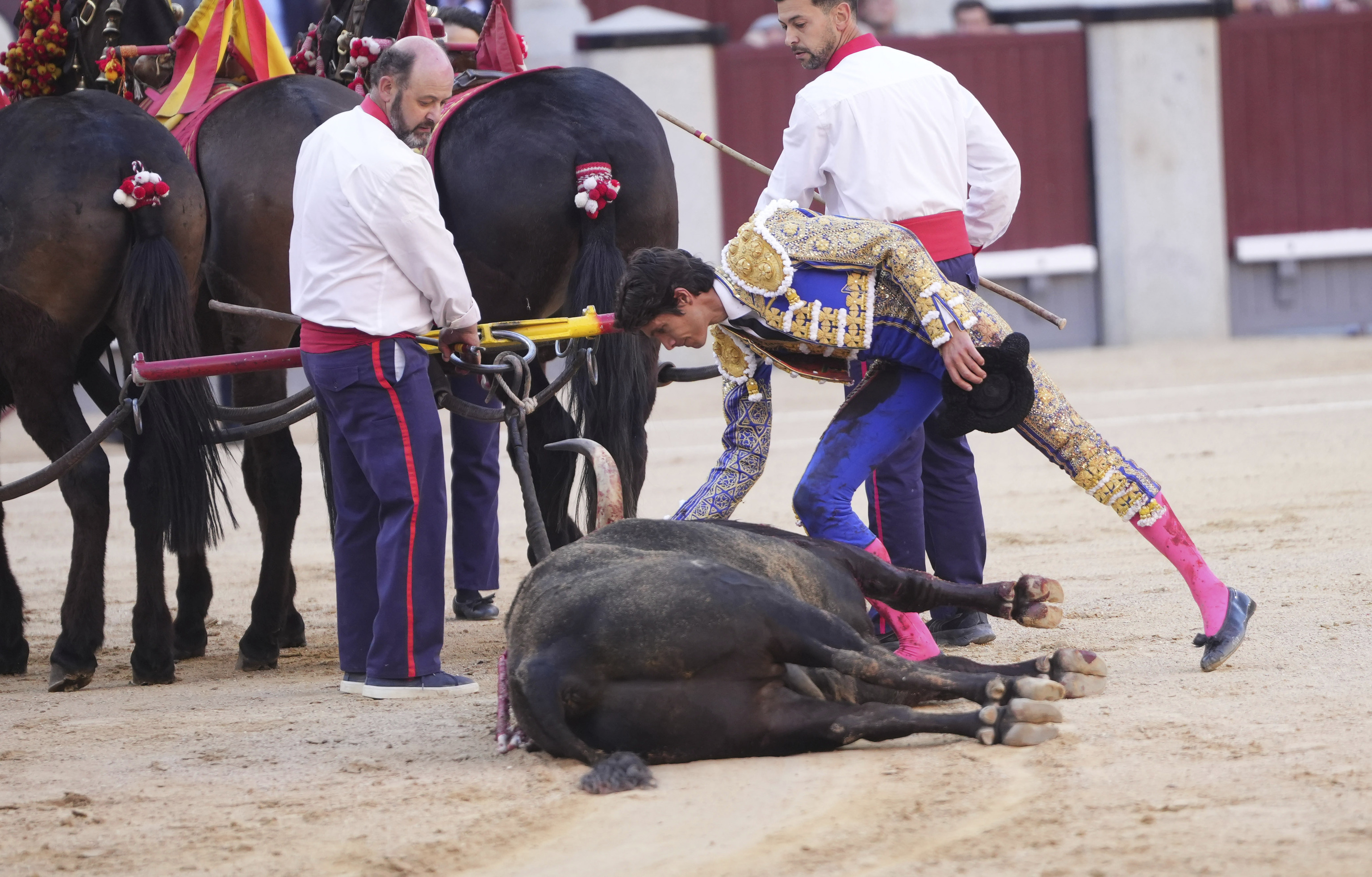 Gloriosa oda al toro 'Cantaor', la excelencia de Victoriano del Río se cita, otra vez, con Las Ventas