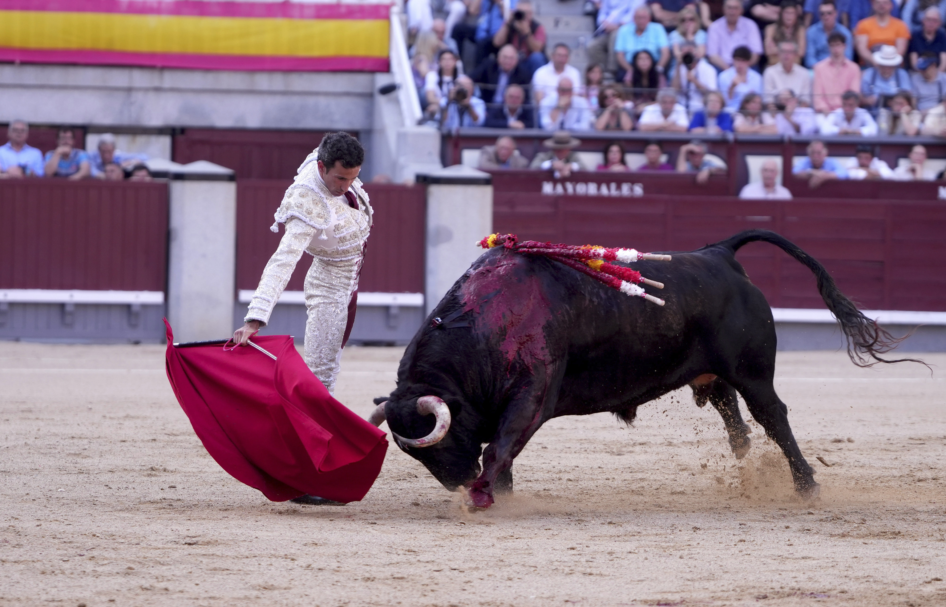 Una buena corrida, mucho corazón y mala cabeza en Las Ventas