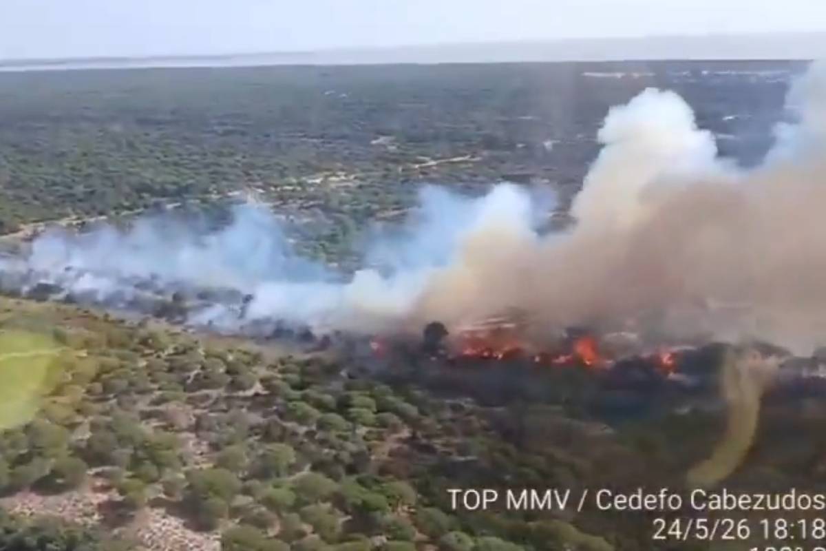 Bomberos y medios aéreos luchan contra un incendio en Doñana