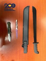 Nueve trinitarios detenidos en Carabanchel tras una reyerta con machetes y cuchillos con miembros de una banda rival