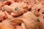 Cómo saber si el pollo está realmente fresco: qué revisar (y los errores que se deben evitar) para prevenir contaminaciones