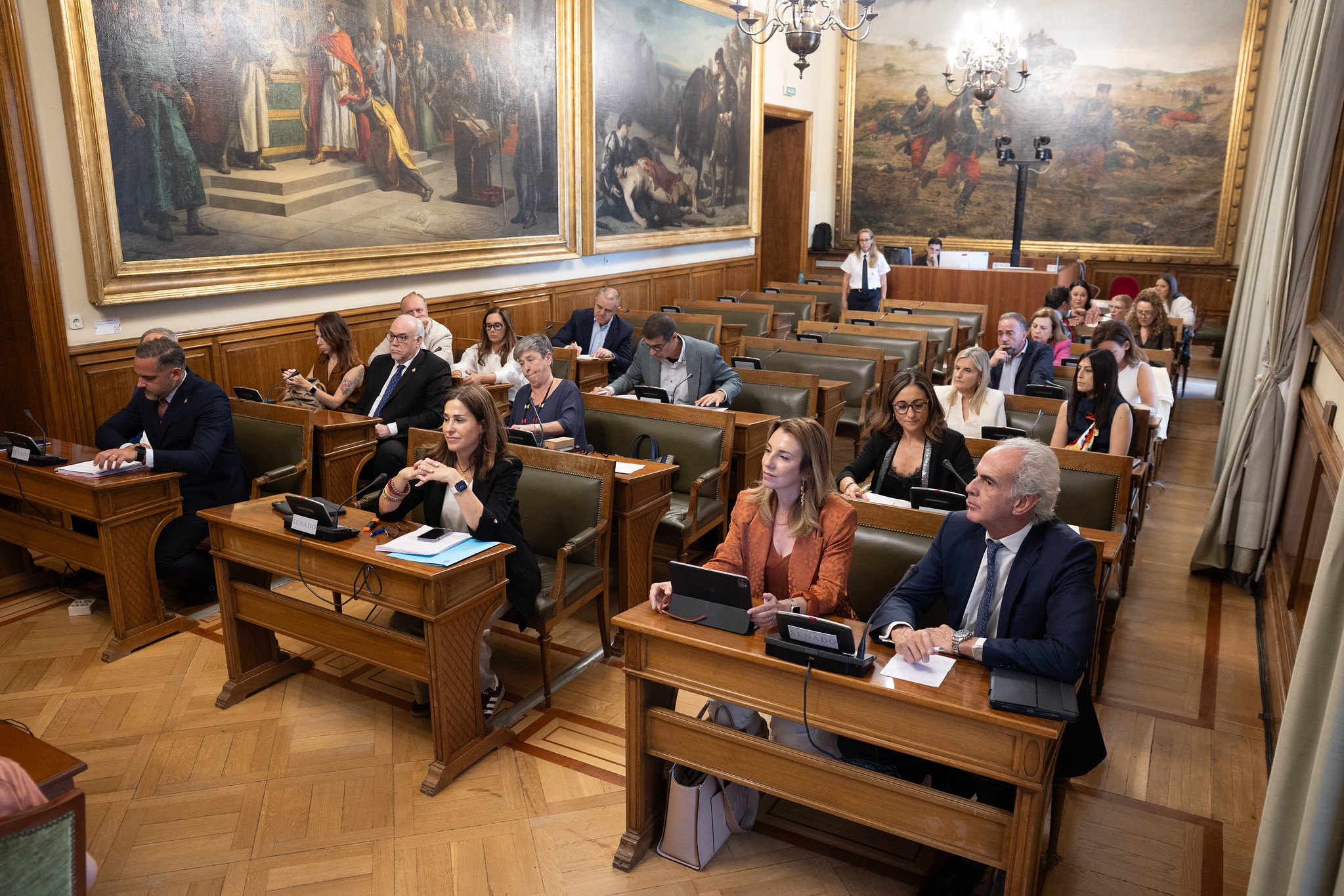 La 'hoja de ruta' de la Comisión de Sanidad del Senado frente al suicidio:  "La reducción  de muertes es un objetivo alcanzable con voluntad política, inversión y  un marco jurídico adecuado"
