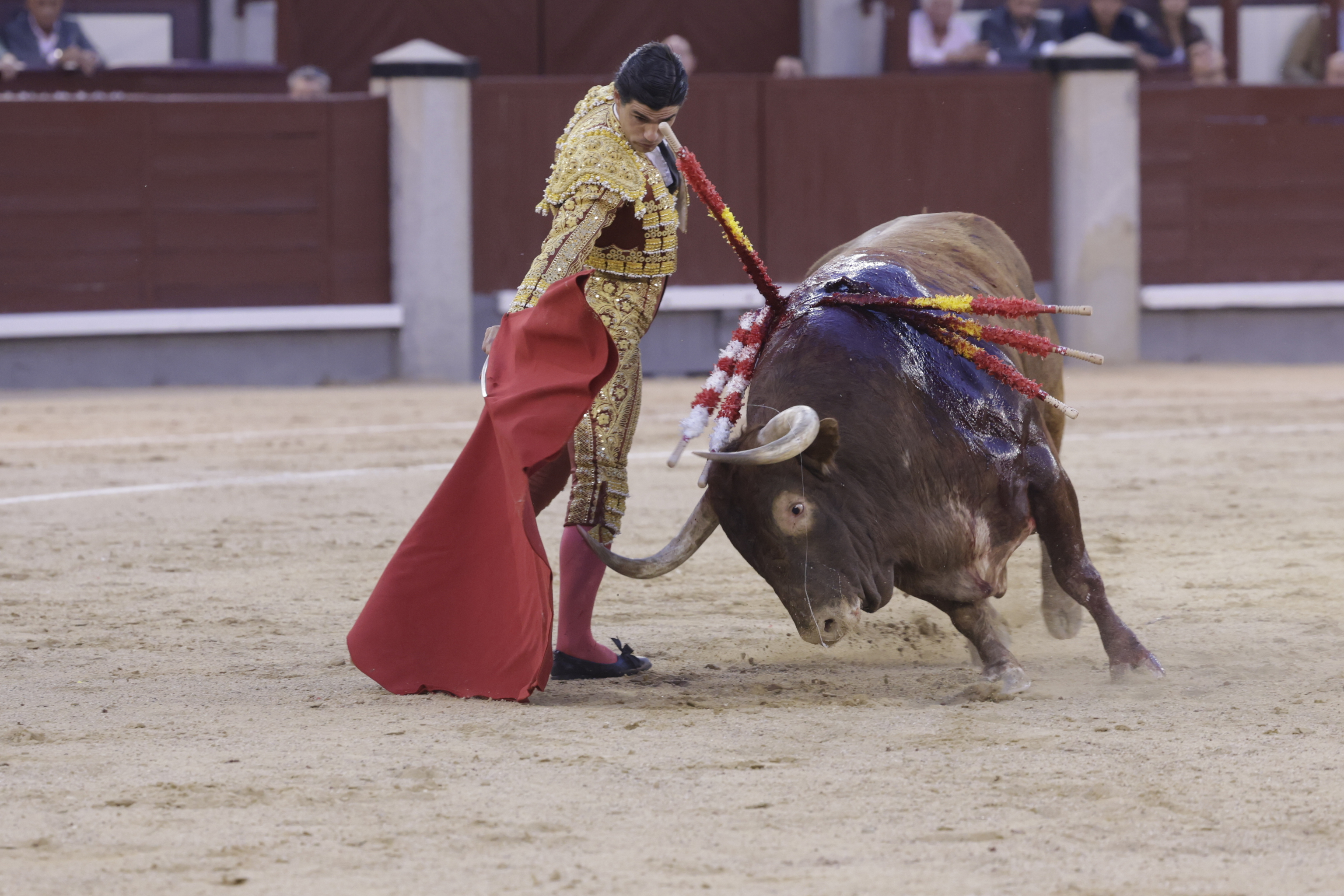 Placer y problema en los toros