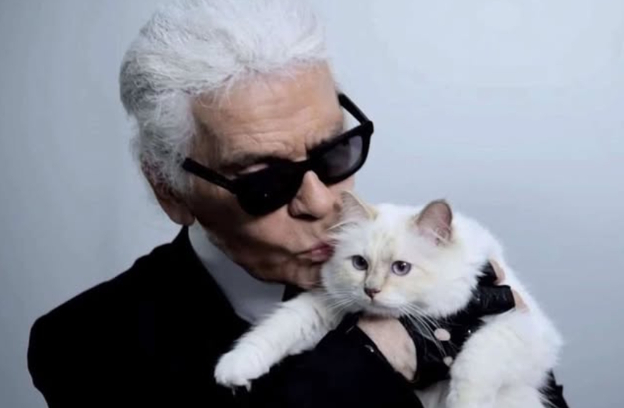 Siete años después, la gata Choupette aún no ha heredado los millones de Karl Lagerfeld, aunque "recibe todo el amor, atención y cuidado que necesita"