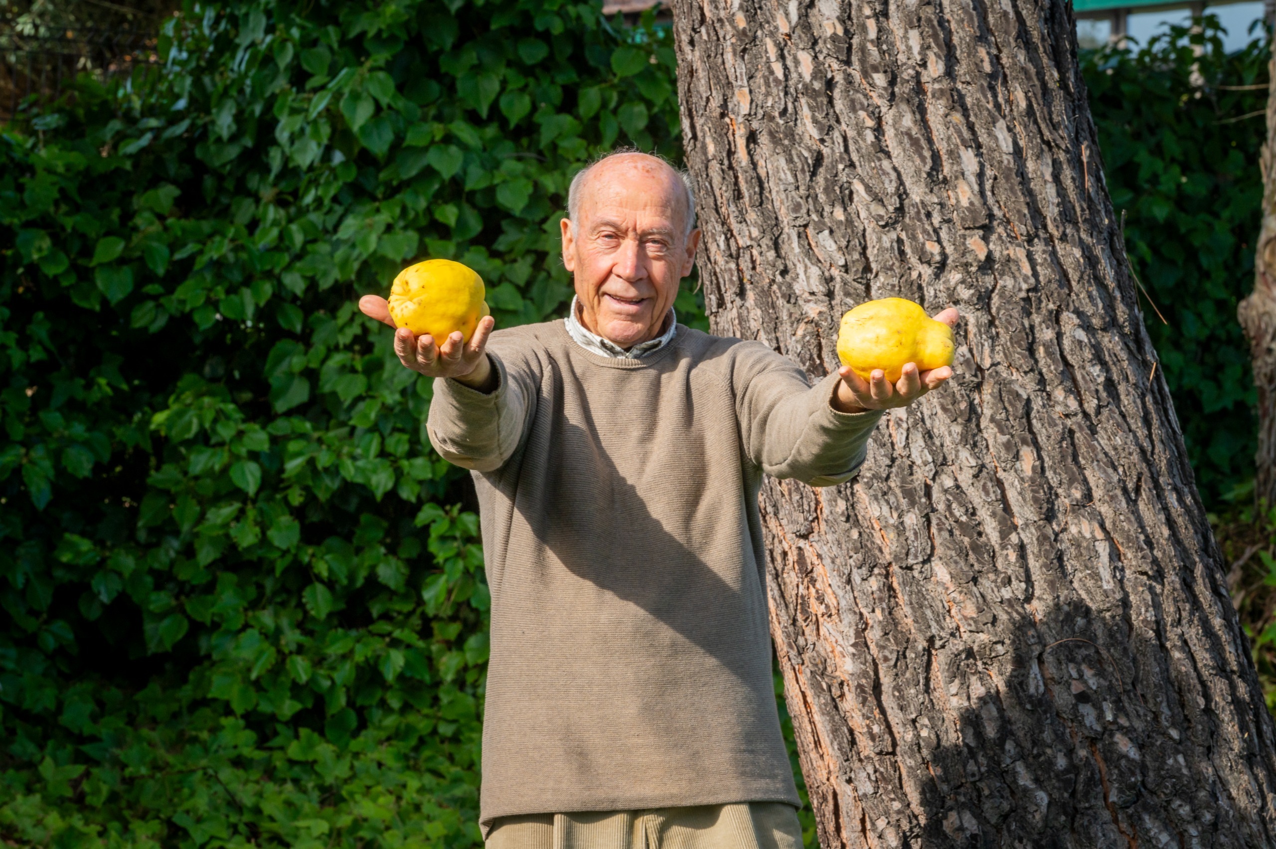 García Vallano, la marca de membrillo que ha creado a los 80 años un emprendedor para reivindicar los beneficios de este dulce tradicional
