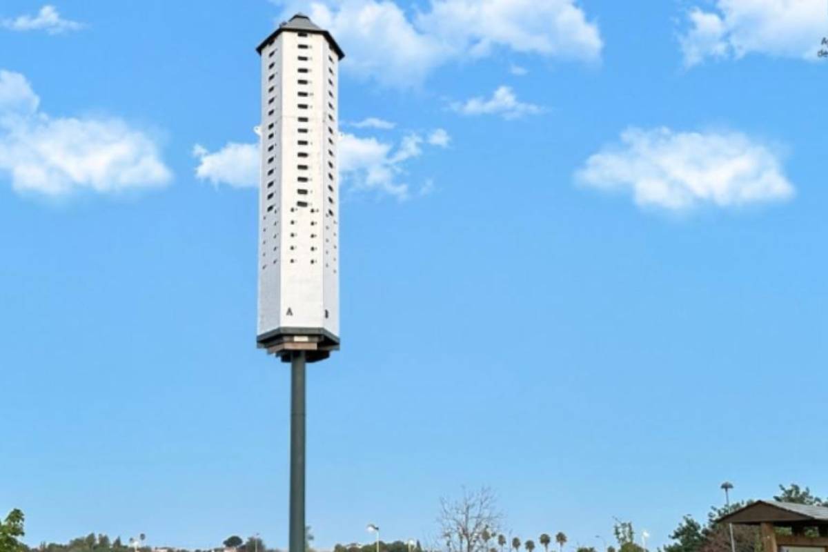 La Puebla del Río (Sevilla) 'ficha' a un ejército de murciélagos y aves para acabar con un millón de mosquitos al día y combatir el virus del Nilo