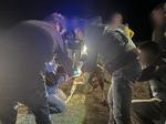Dos años y medio de cárcel para el dueño de los perros que mataron a una joven en Roales del Pan (Zamora)