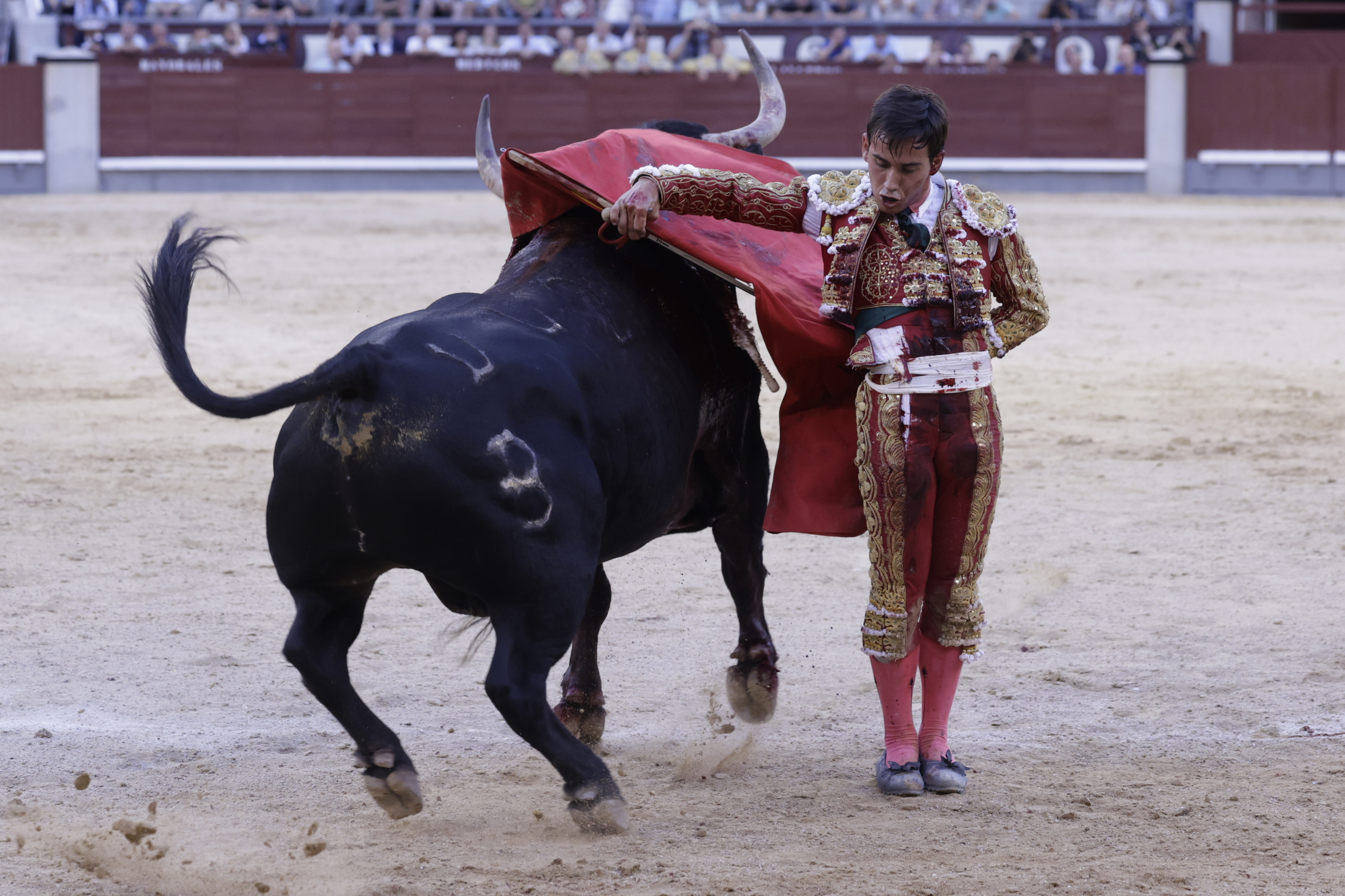 Una tarde muy rica en Las Ventas, tres toros de nota y un torero necesario: Ismael Martín