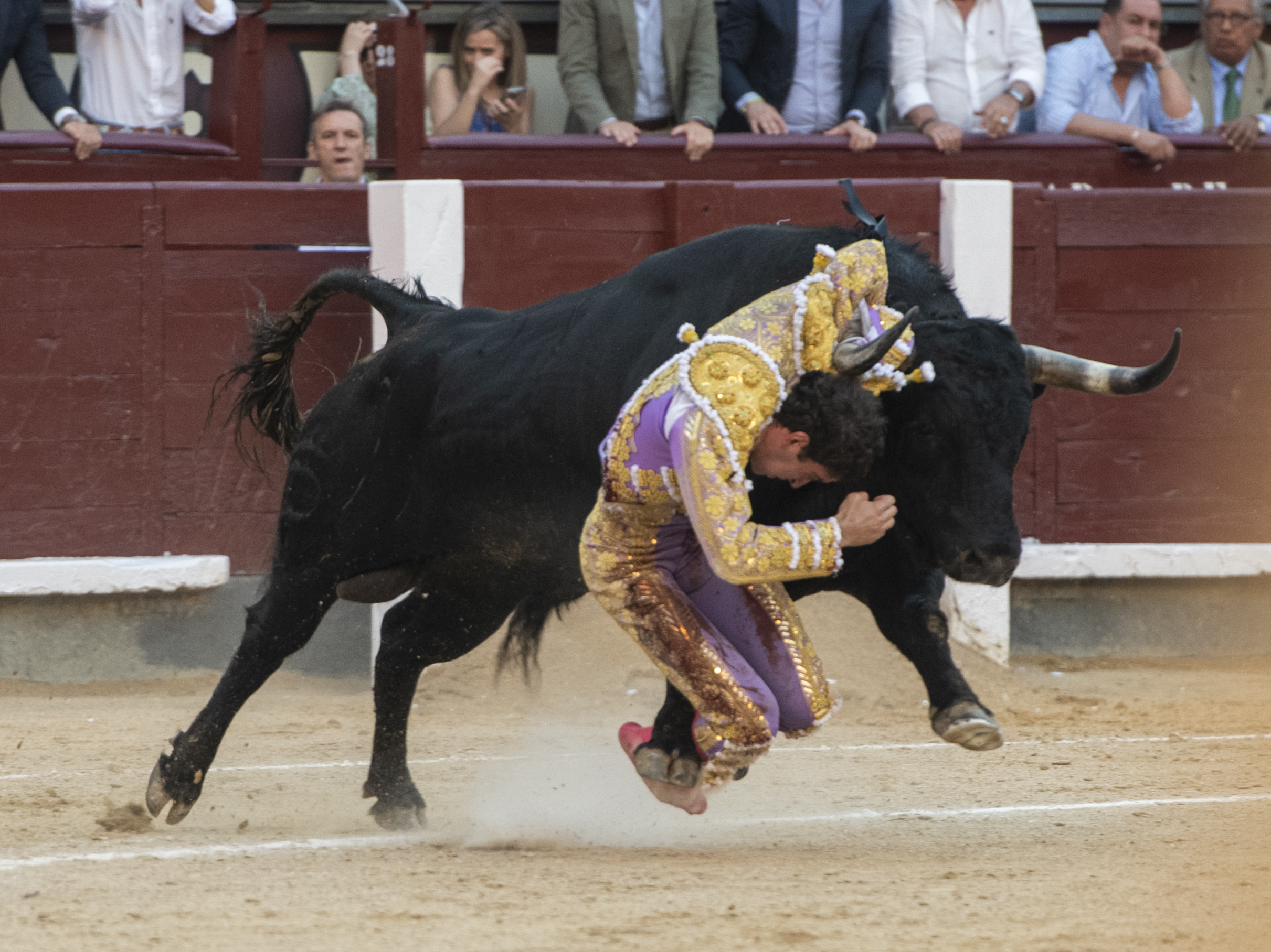 La verdad salvaje de Hernández conmueve Madrid
