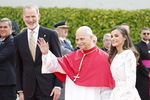 El Papa asegura que va a seguir trabajando porque "los abusos son una llaga aún abierta"