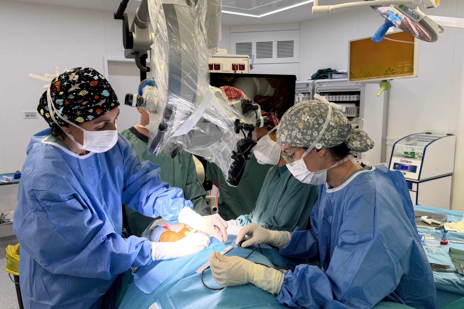 Bisturí contra el alzhéimer: el Hospital Germans Trias explo