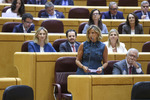 El PP reabre con una proposición de ley orgánica el debate sobre el CGPJ para despolitizarlo y que los jueces elijan a los jueces