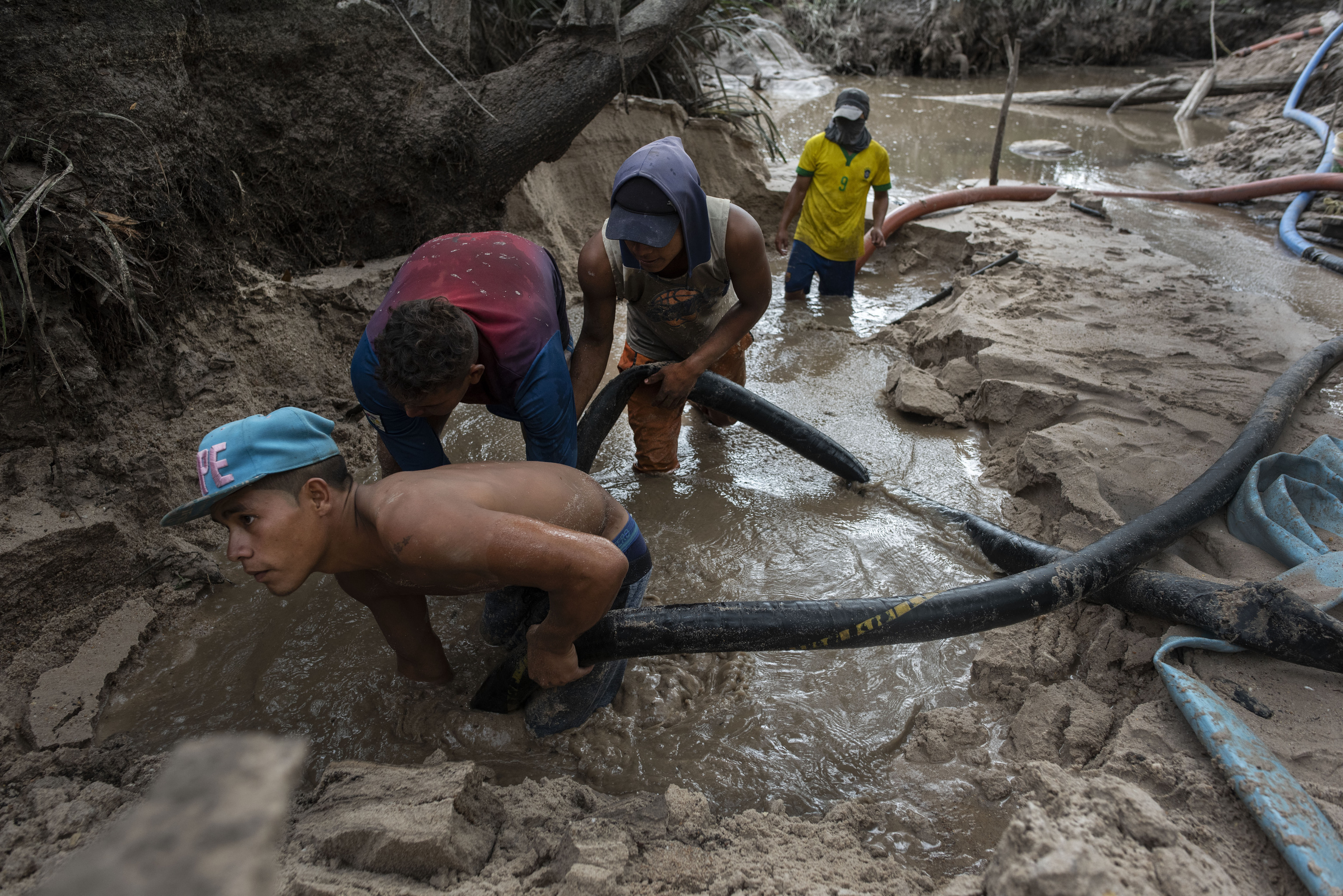 Operativo militar de Delcy Rodríguez y EEUU contra las mafias mineras del oro en Venezuela