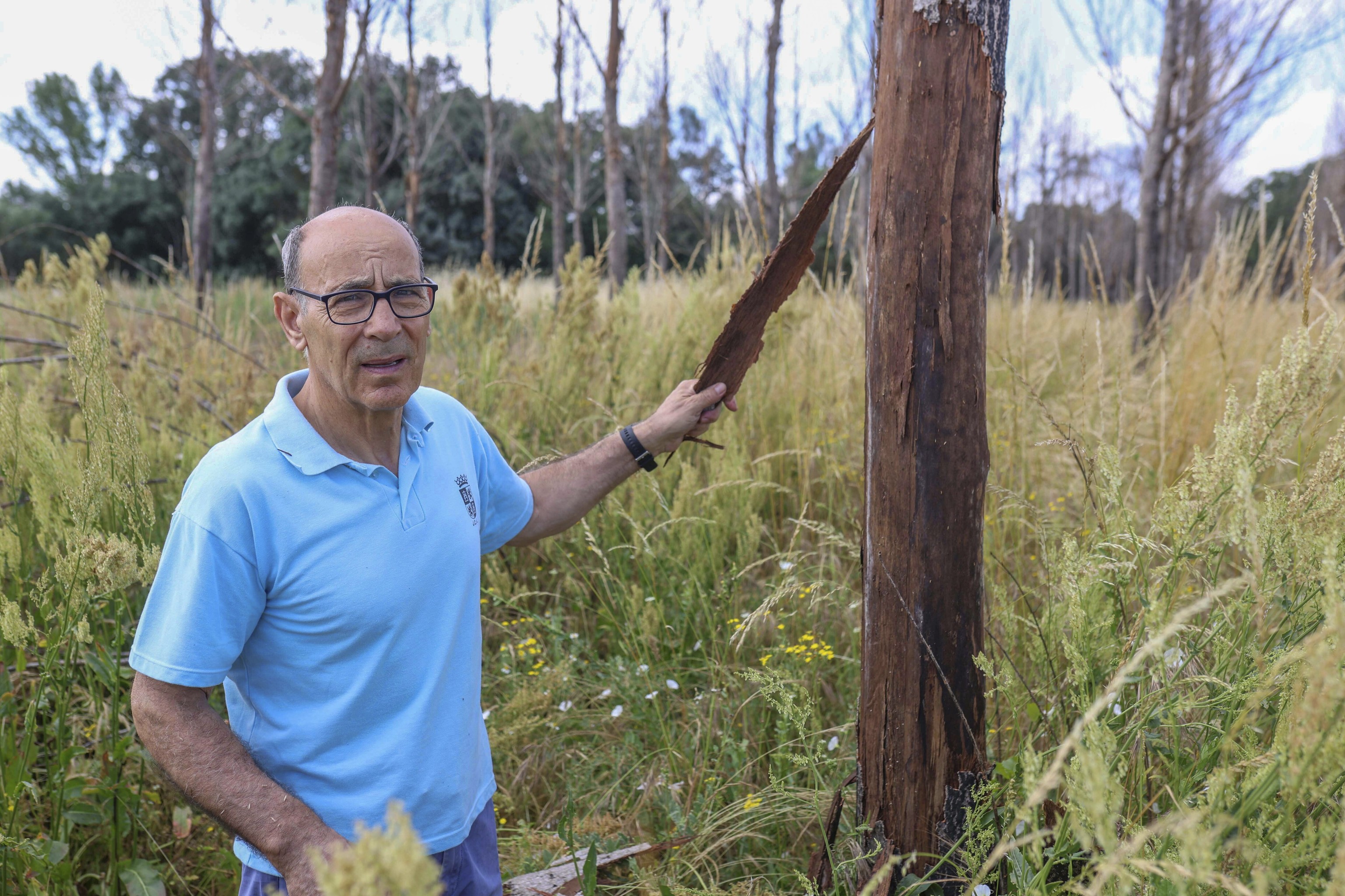 Los propietarios forestales temen otro verano infernal: "No se ha hecho nada de prevención desde los incendios del año pasado"