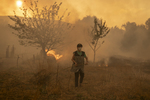 Sergio Fidalgo, uno de los héroes de los incendios del 2025 en Castilla y León avisa: "Va a volver a suceder lo mismo este verano"