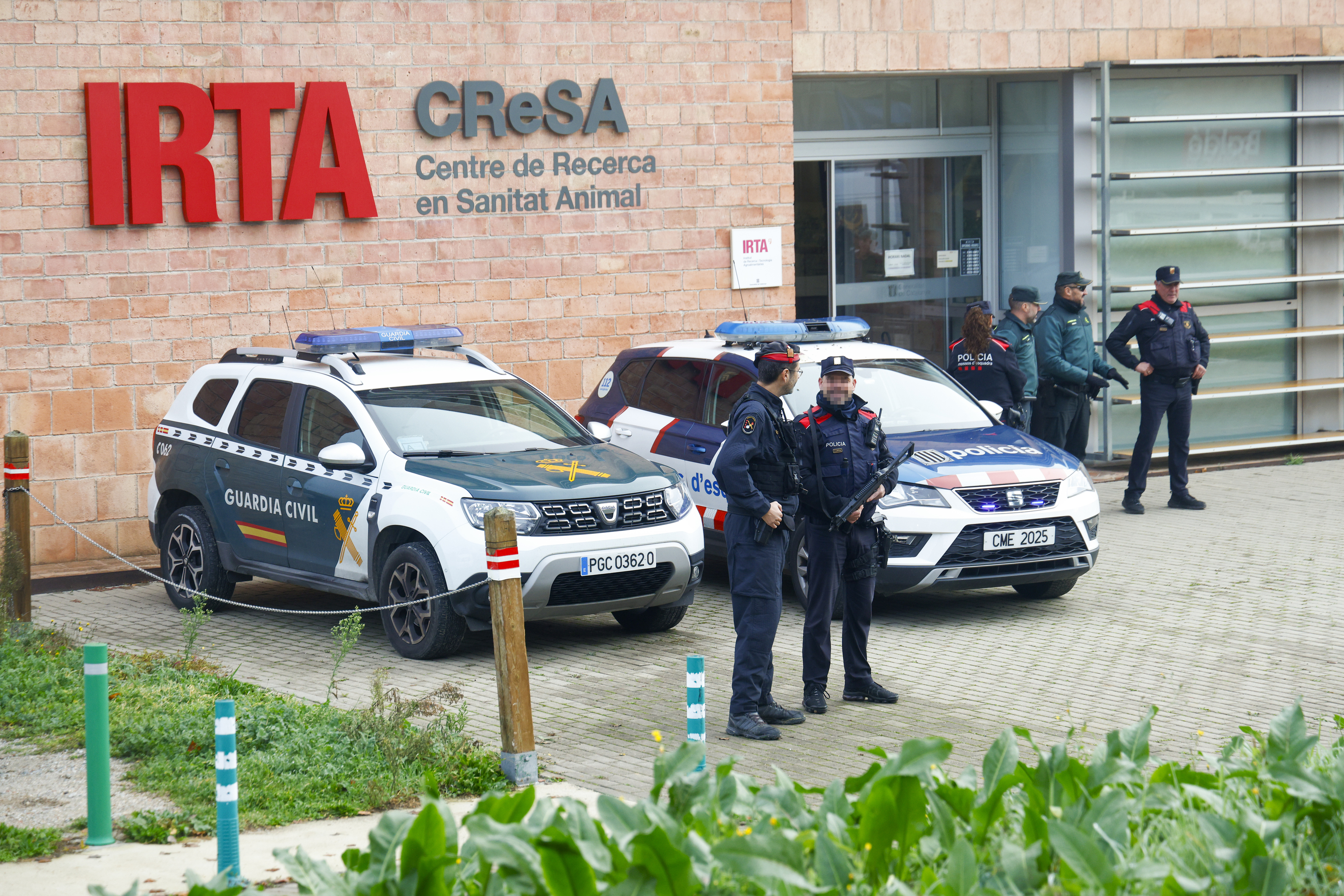 Mossos d'Esquadra y Guardia Civil registran por segunda vez el laboratorio IRTA-CReSA por el brote de peste porcina africana en Barcelona