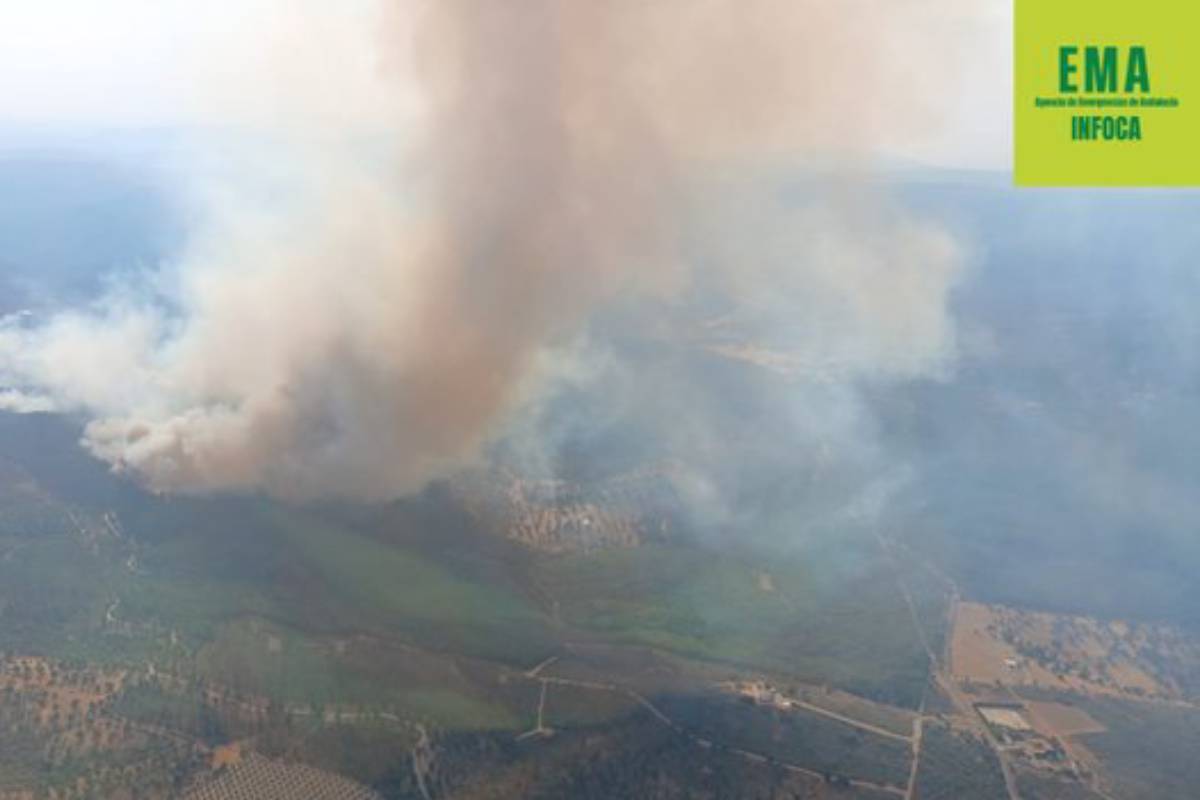 Casi 200 desalojados por un incendio junto al parque natural de Despeñaperros (Jaén)