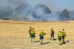 Dos incendios en Leciñena y La Fueva arrasan 3.000 hectáreas: "Hay que intentar controlarlos antes de la nueva ola de calor"