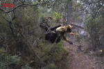 El fuego de Les Gavarres (Girona), con 10.000 hectáreas en riesgo, reabre el debate sobre la gestión forestal: "Hay que ponerse las pilas, el bosque está descuidado y es un polvorín"