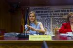 Aagesen niega haber recibido "presiones políticas" para dar luz verde a los rescates de Air Europa, Plus Ultra y Tubos Reunidos
